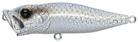 White Butterfly - Respect Series