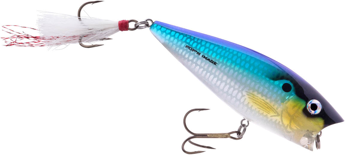 D Threadfin Shad