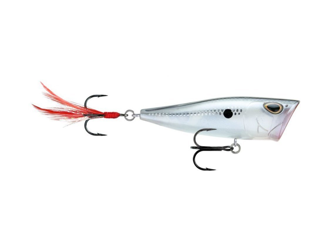 Storm Arashi Cover Pop 3 1/8 inch Topwater Popper Black Silver Shad