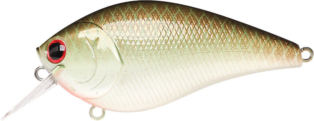 Copper Green Shad