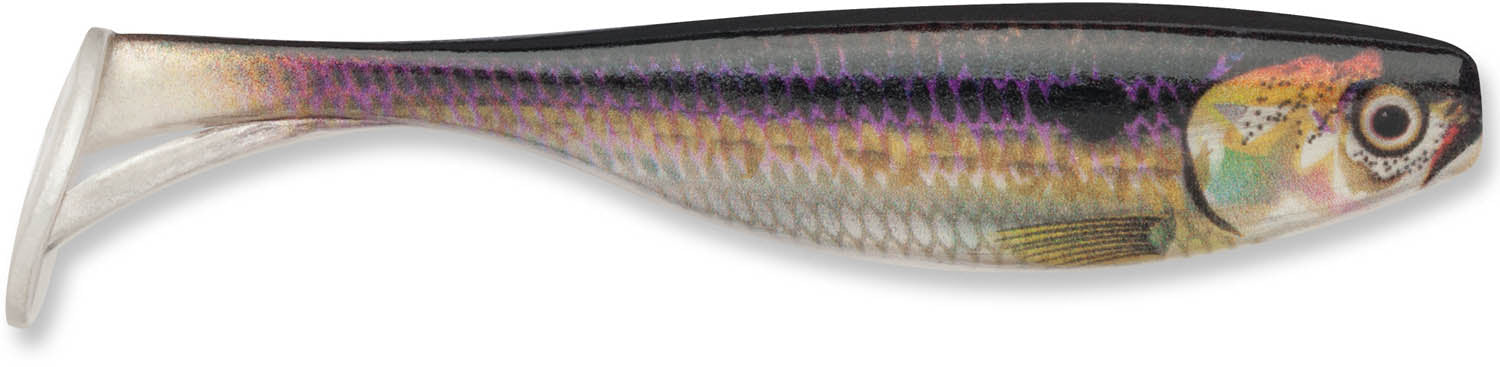 Live Threadfin Shad
