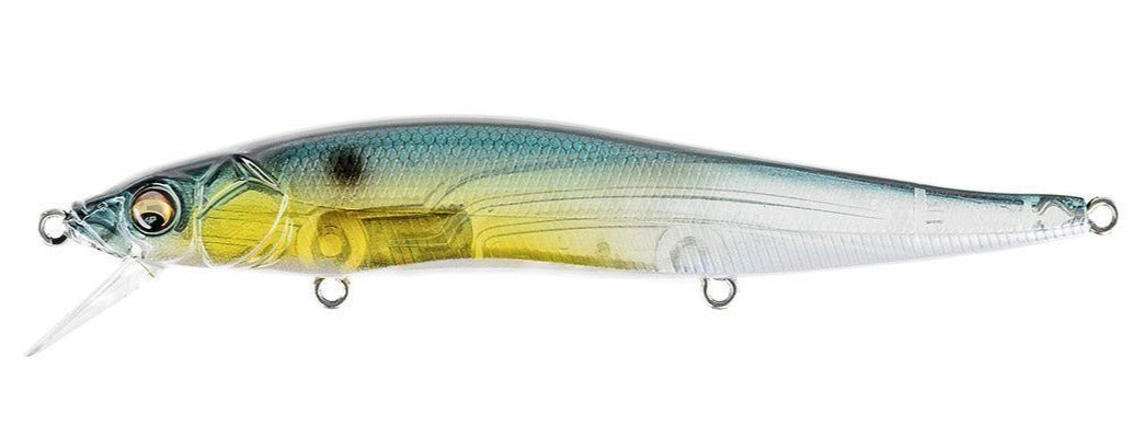 GP Threadfin Shad