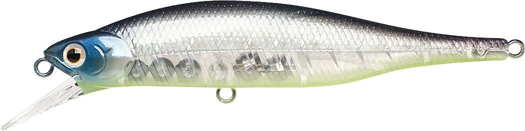 Chartreuse Shad
