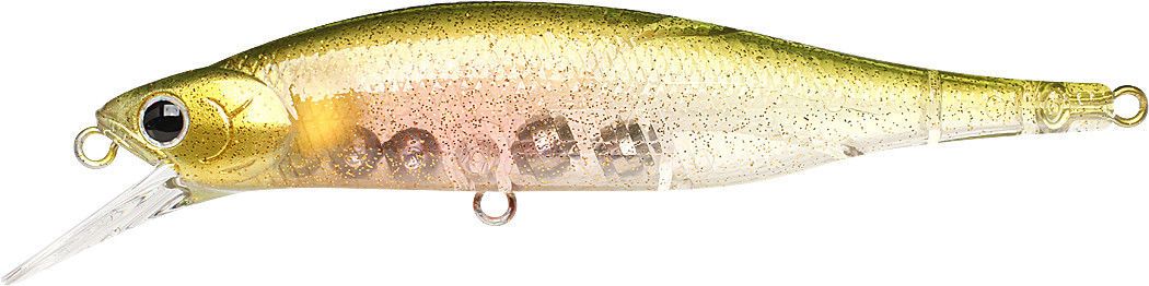 Pearl Threadfin Shad
