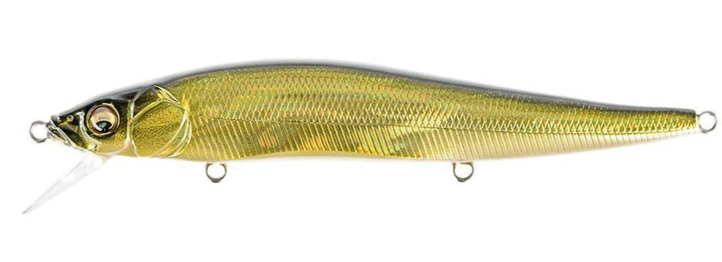 GG Moss Back Golden Shad
