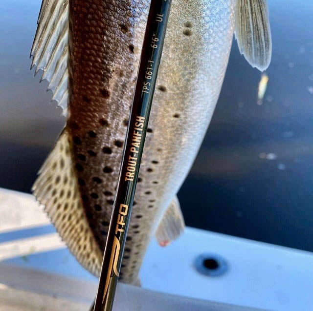 Temple Fork Outfitters Trout-Panfish Spinning Rods