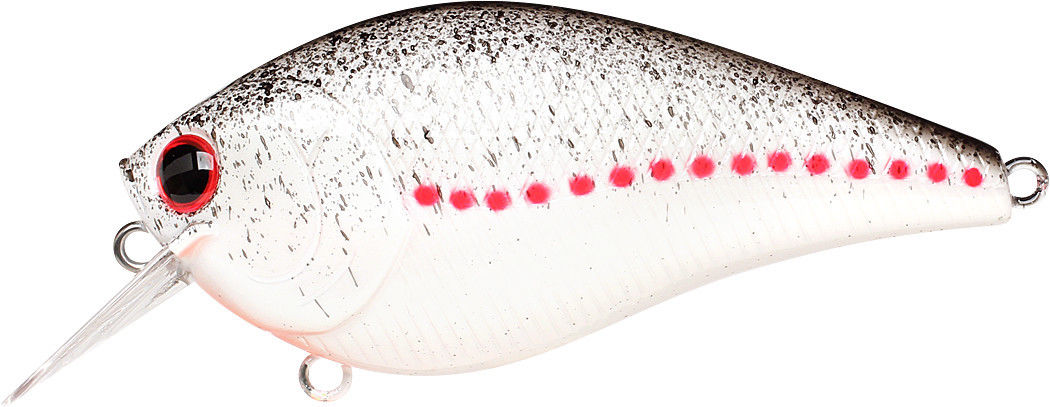 White Shad