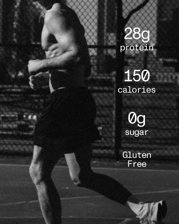 David High Protein Bars
