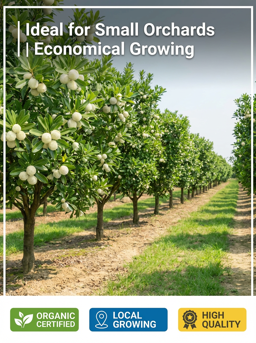 Image8_Small_Orchards_Certified.png