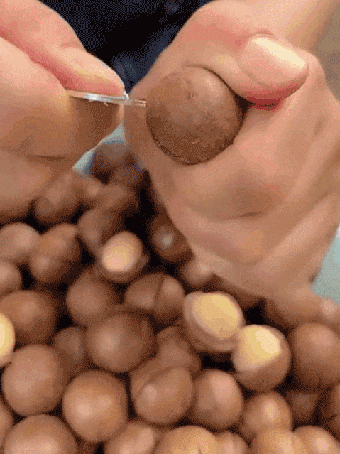 150g snack macadamia nuts