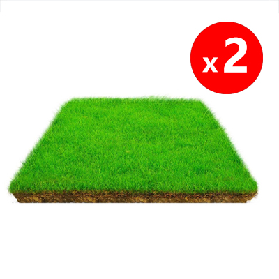 【Cold-resistant (survives at -30℃) + drought-tolerant】High-quality local grass seeds in the USA💚No need for frequent maintenance