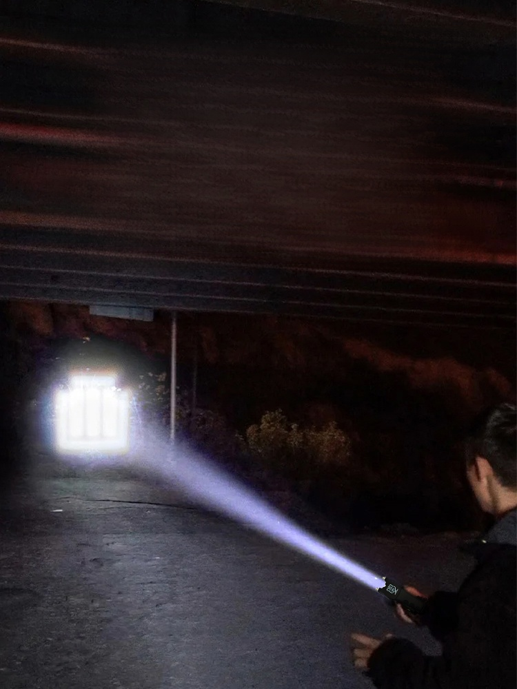 Arc Flashlight and Self-Defense Safety Combo