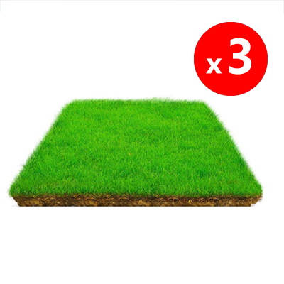 【Cold-resistant (survives at -30℃) + drought-tolerant】High-quality local grass seeds in the USA💚No need for frequent maintenance