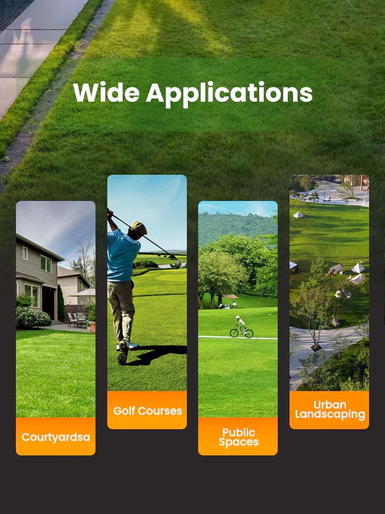 【Cold-resistant (survives at -30℃) + drought-tolerant】High-quality local grass seeds in the USA💚From the world's grass seed capital: Willamette Valley