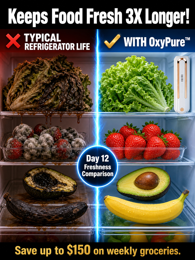 Smart Fridge Freshness Tech | Lock in Flavor & Nutrition — Now 50% OFF