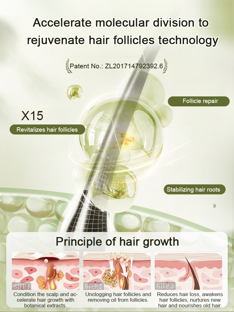 Hot Sale Ginger Plant Extract Anti-Hair Loss Hair Shampoo