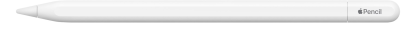 Стилус для айпад ipad Apple Pencil (USB-C)