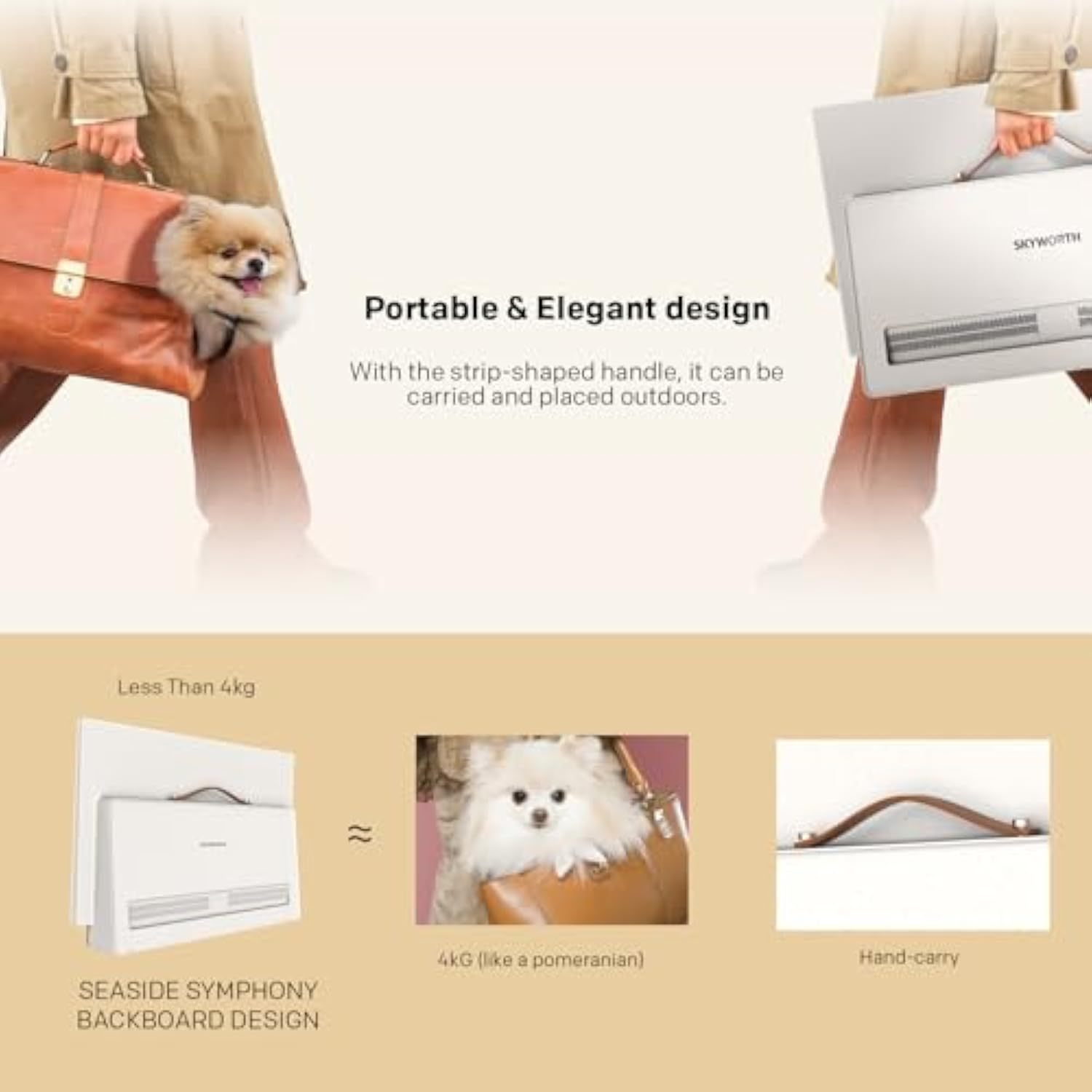 Portable Smart TV