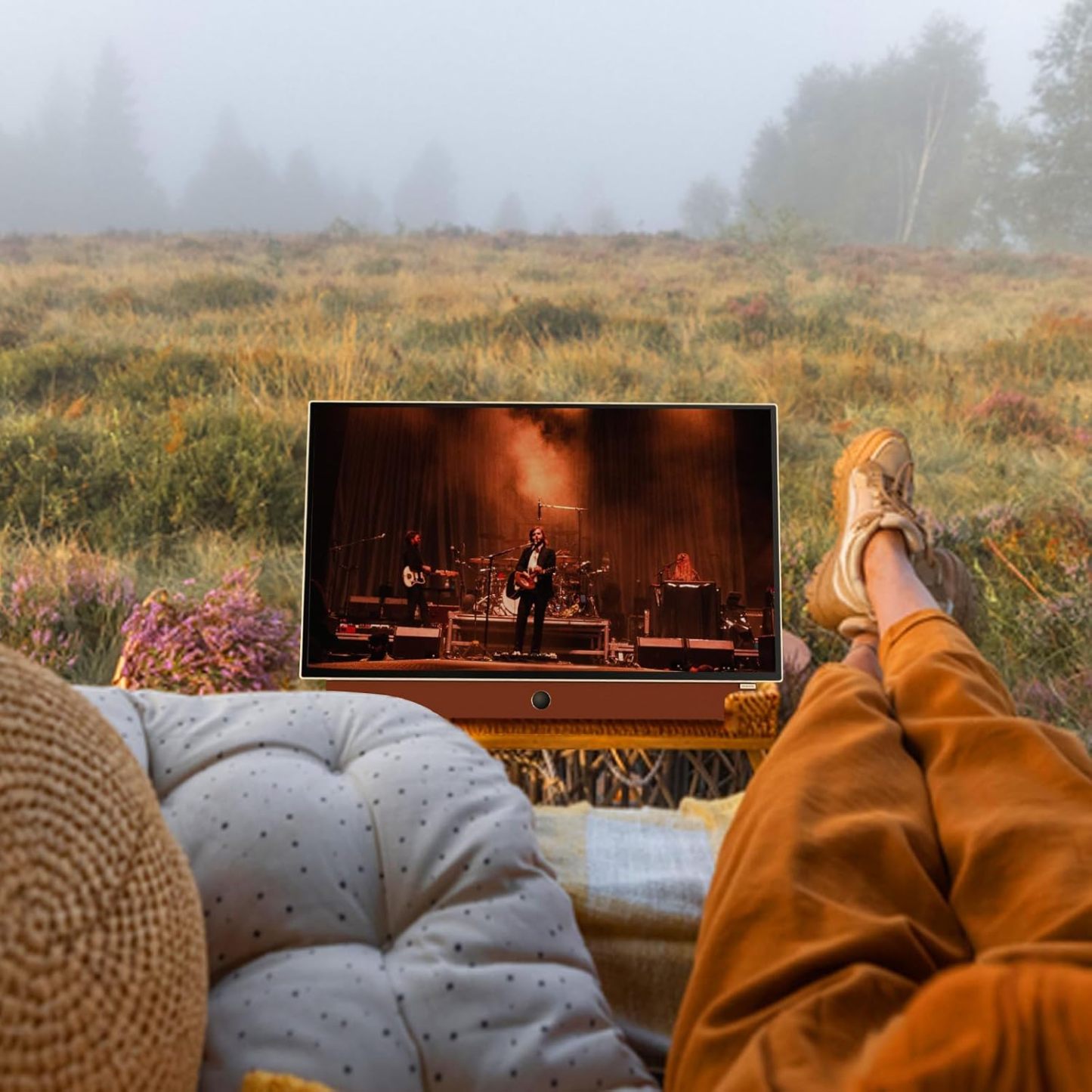 Portable Smart TV