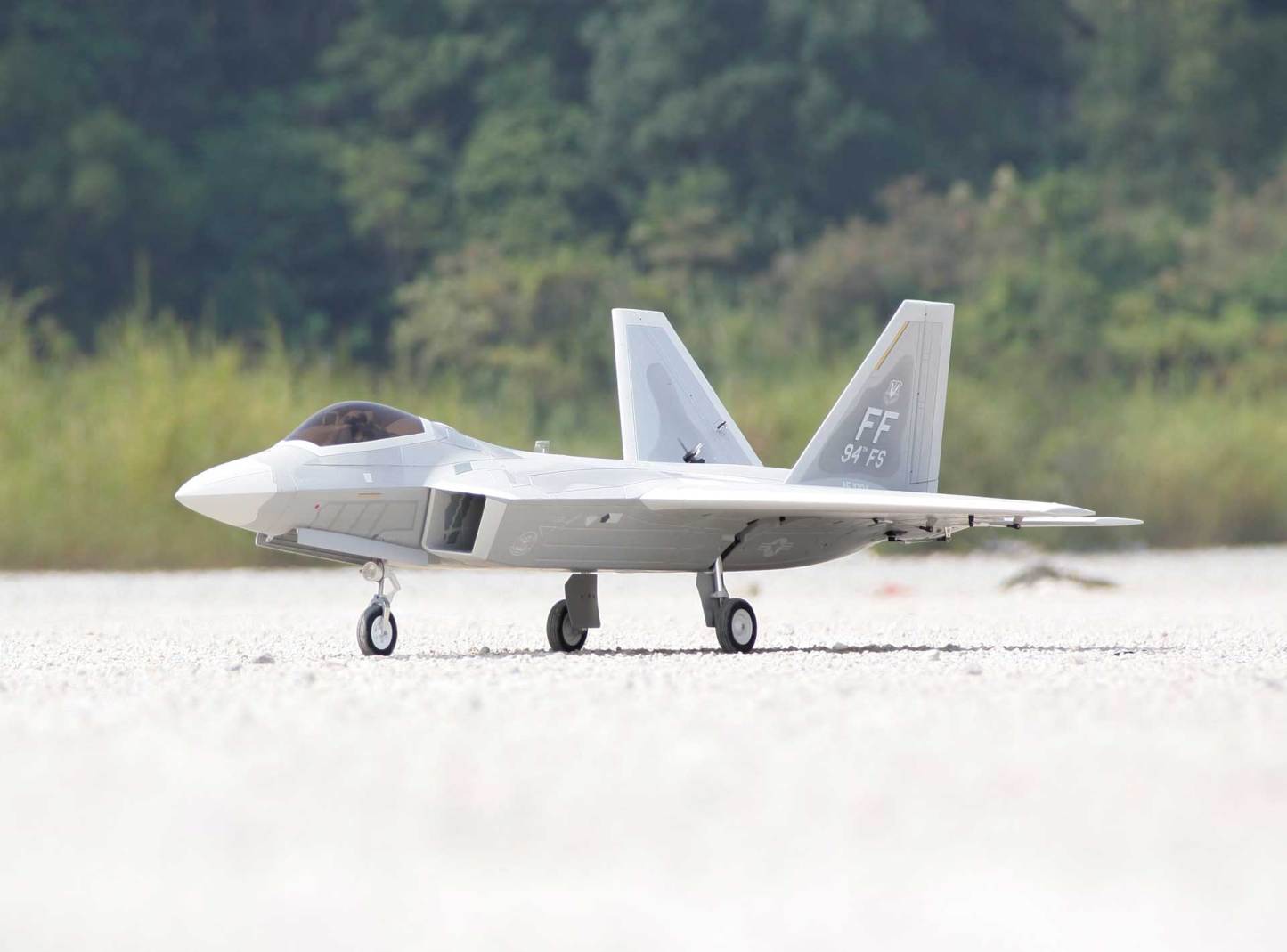 Freewing F-22 Raptor Ultra Performance 8S 90mm EDF Jet - PNP