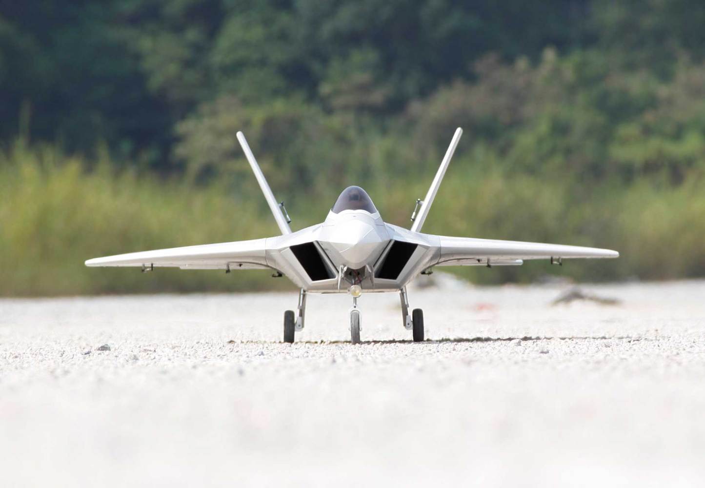 Freewing F-22 Raptor Ultra Performance 8S 90mm EDF Jet - PNP