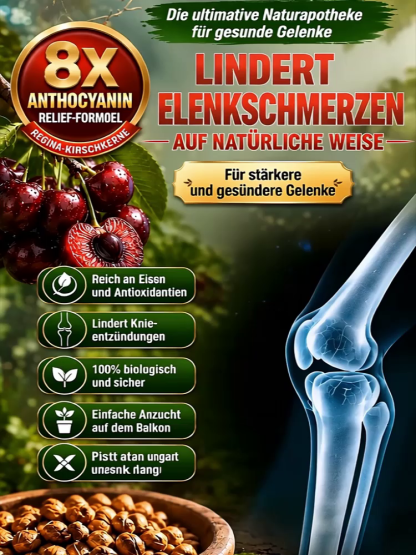 Chilenischer selbstbestäubender Kirschbaum‑Setzling – Winterhart, auch für Töpfe! Schon im Juli Früchte ernten