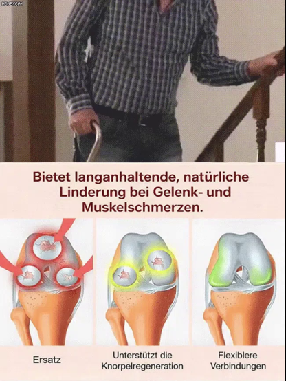 Chilenischer selbstbestäubender Kirschbaum‑Setzling – Winterhart, auch für Töpfe! Schon im Juli Früchte ernten