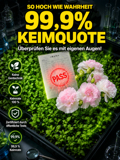 [Keimt innerhalb von 7 Tagen] Gemischtfarbige Samen der gefüllten Lisianthus