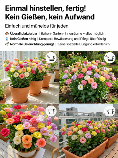[Keimt innerhalb von 7 Tagen] Gemischtfarbige Samen der gefüllten Lisianthus
