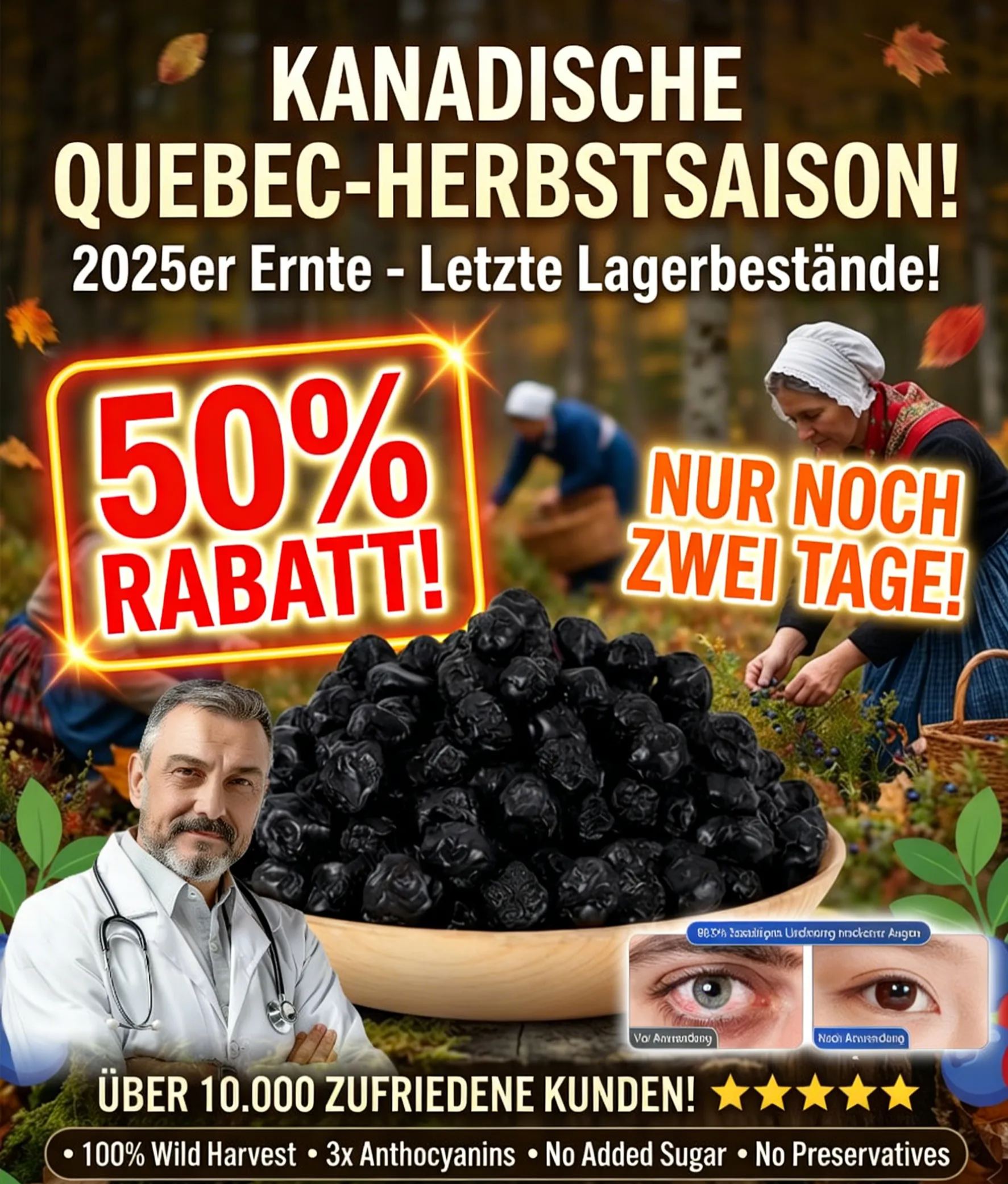 WILDE KANADISCHE GETROCKNETE BLAUBEEREN AUS QUEBEC2025 HERBSTERNT – NUR WENIGE ÜBRIG!