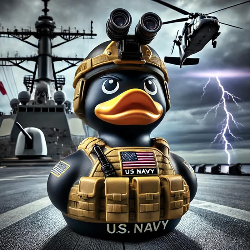 🦆 Veteran Commemorative Ducks: Unique and cool decorative items.