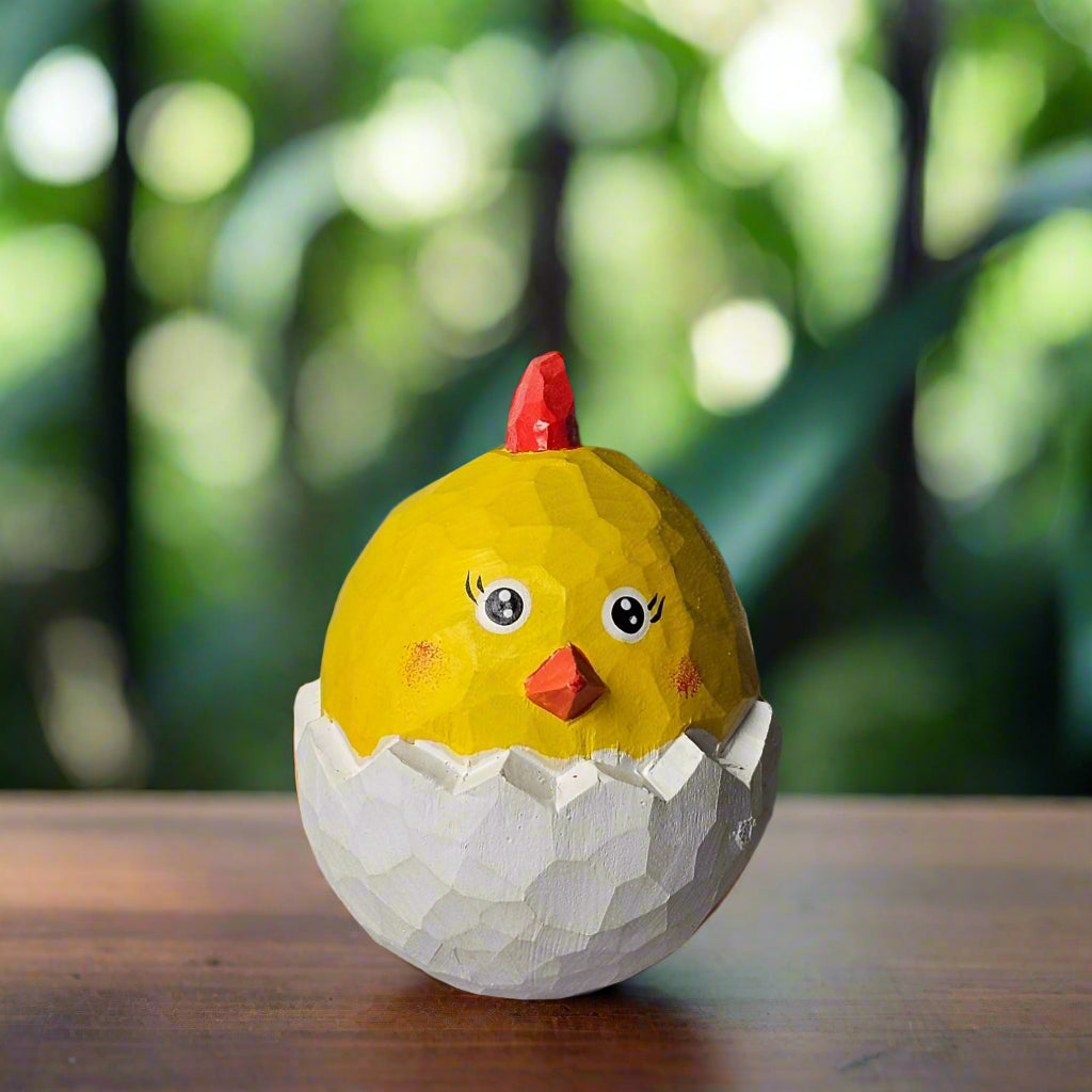 Newborn Chicken in Egg Shell