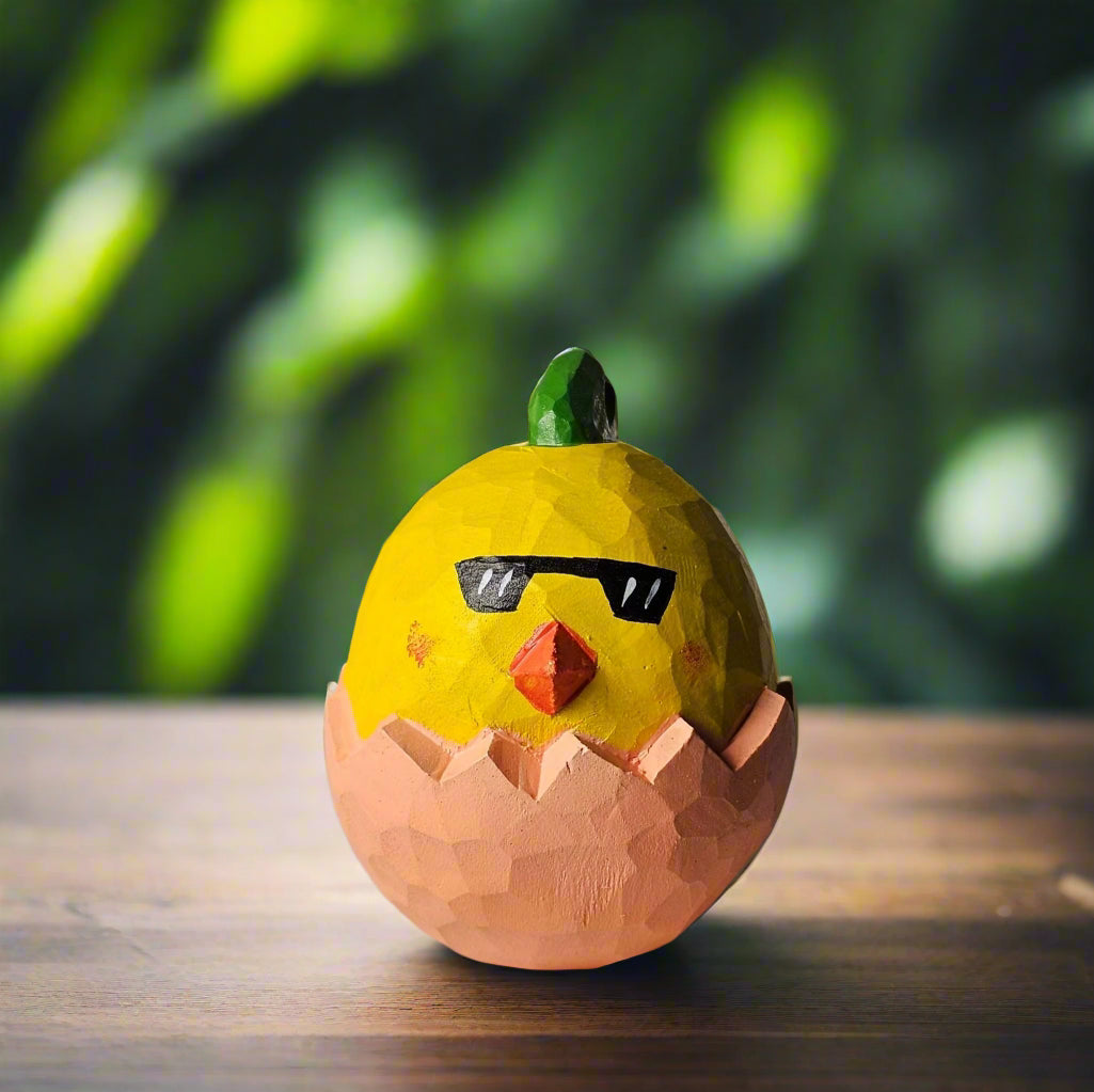 Newborn Chicken in Egg Shell