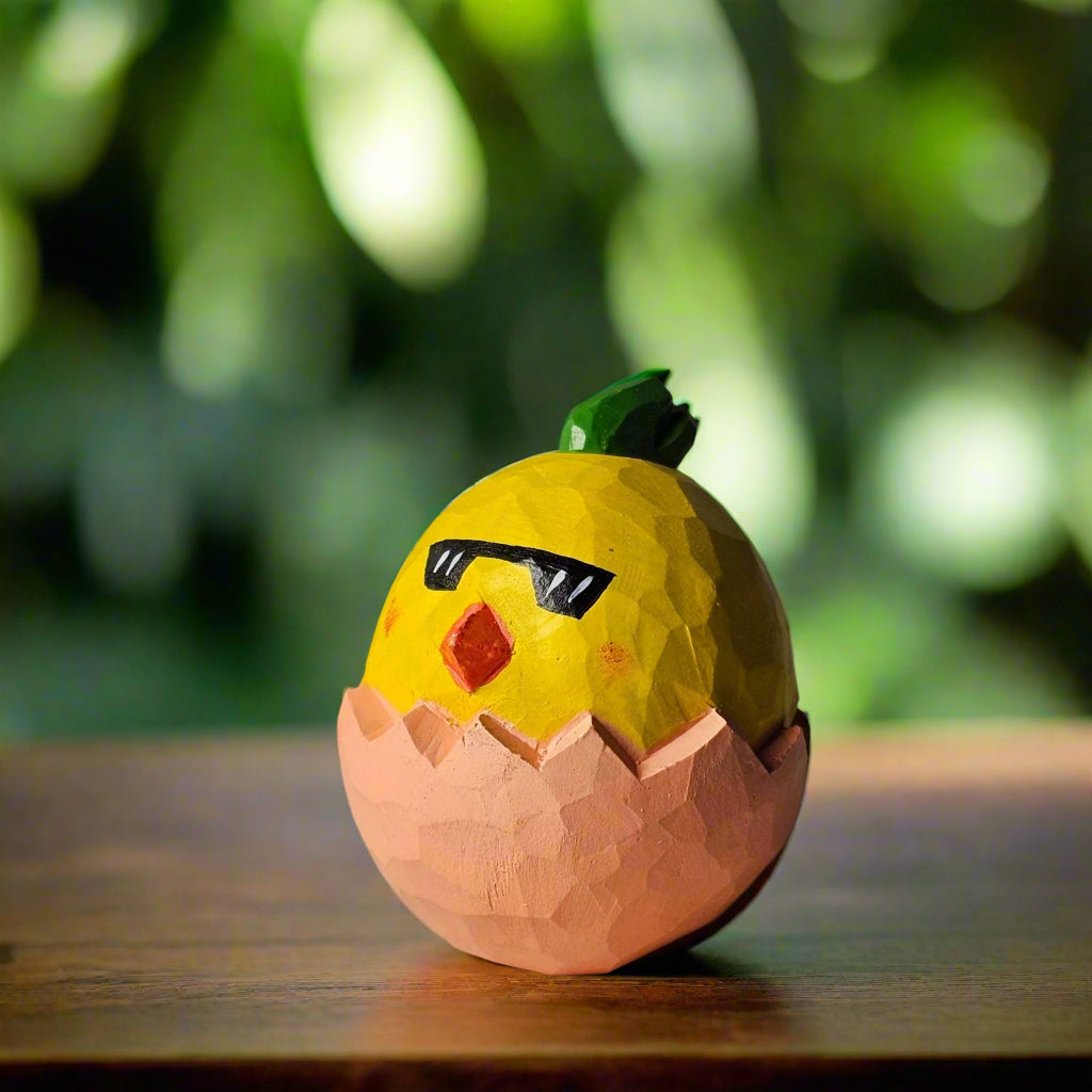 Newborn Chicken in Egg Shell