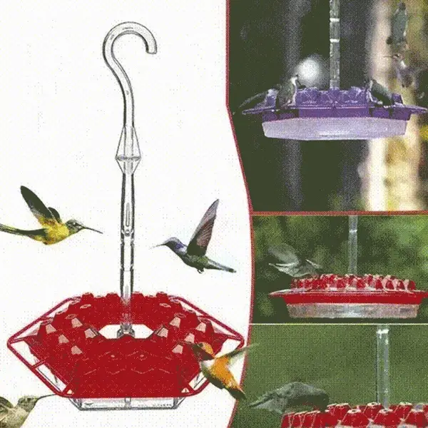 Matufit™ - Mary's Sweety Hummingbird Feeder with Perch (Ant-Proof)