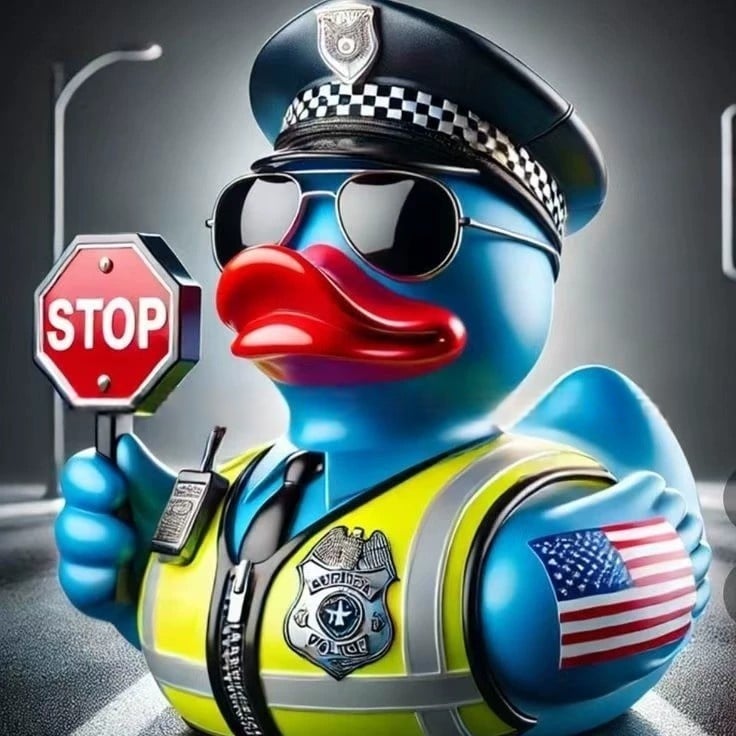 🔥Limited Double Order - 🚔Heroic Duck Figurines