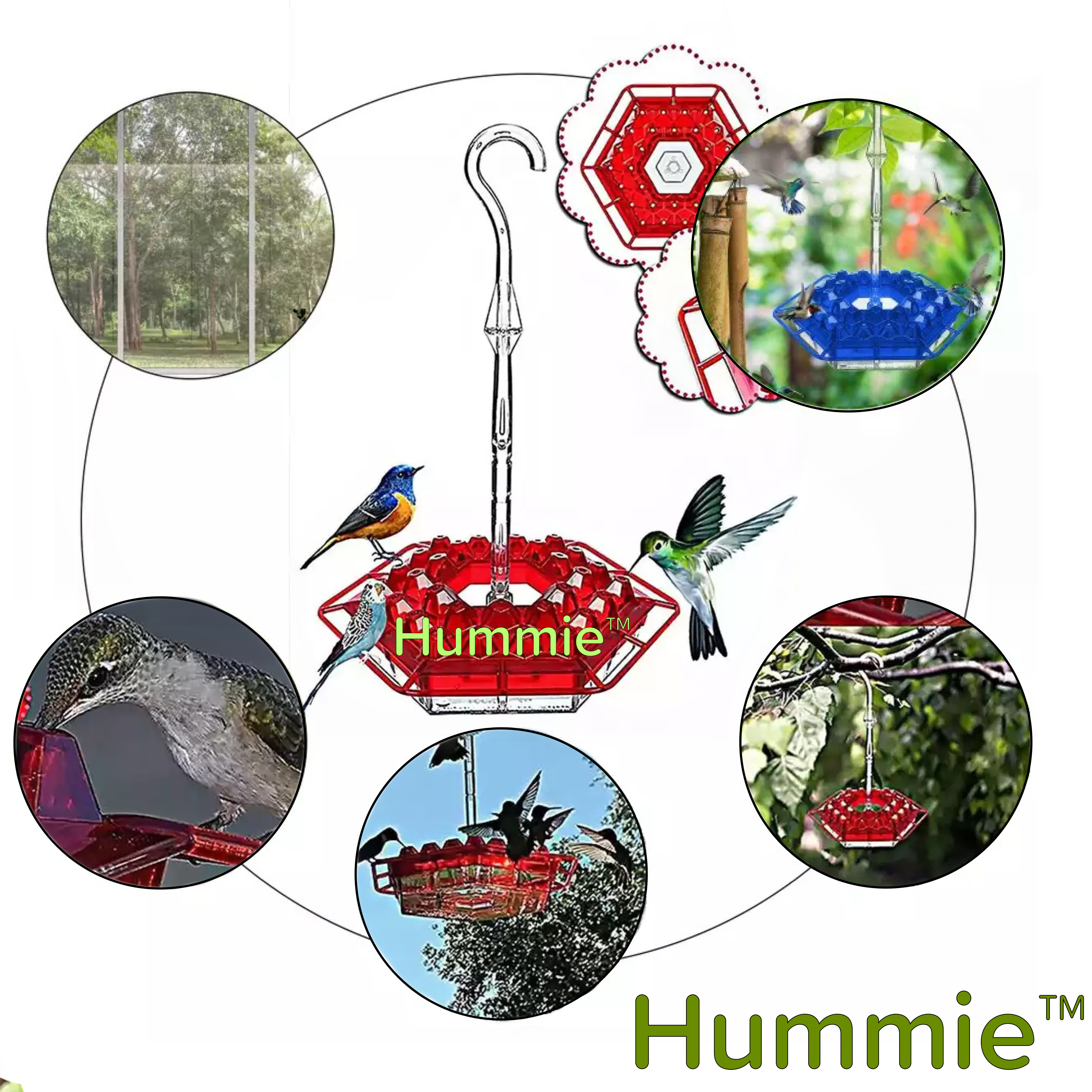 Matufit™ - Mary's Sweety Hummingbird Feeder with Perch (Ant-Proof)