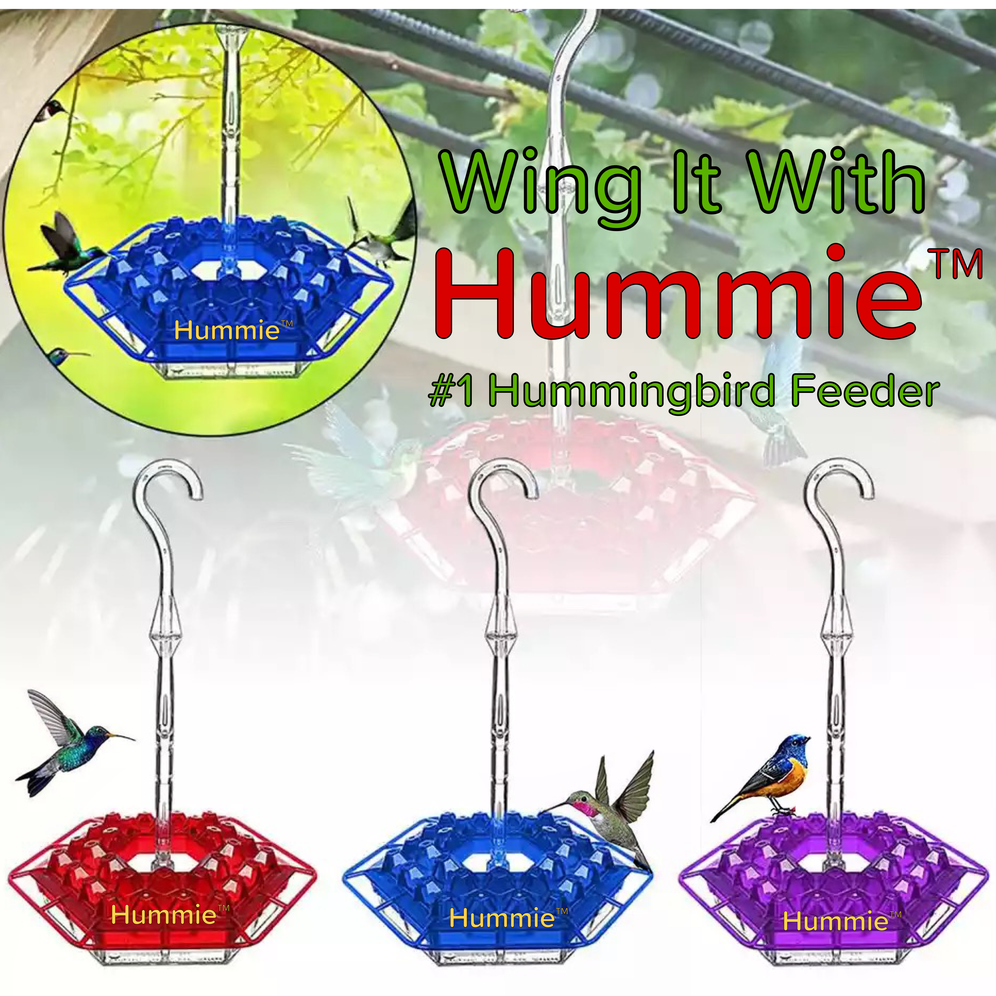 Matufit™ - Mary's Sweety Hummingbird Feeder with Perch (Ant-Proof)