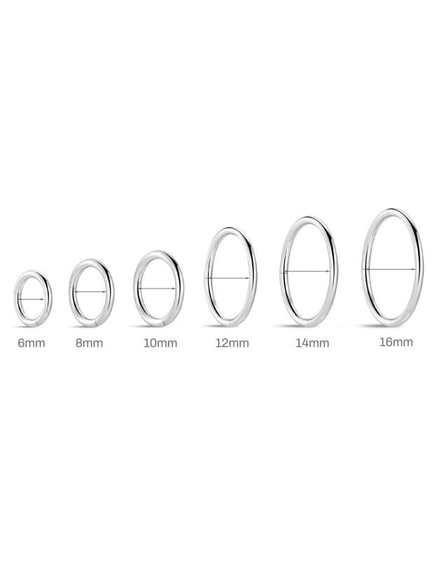 G23 Titanium Classic All-Match Hoop Earrings-Olarajewelry