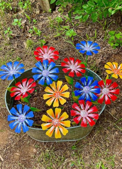 Dazzling Colorful COSMOS