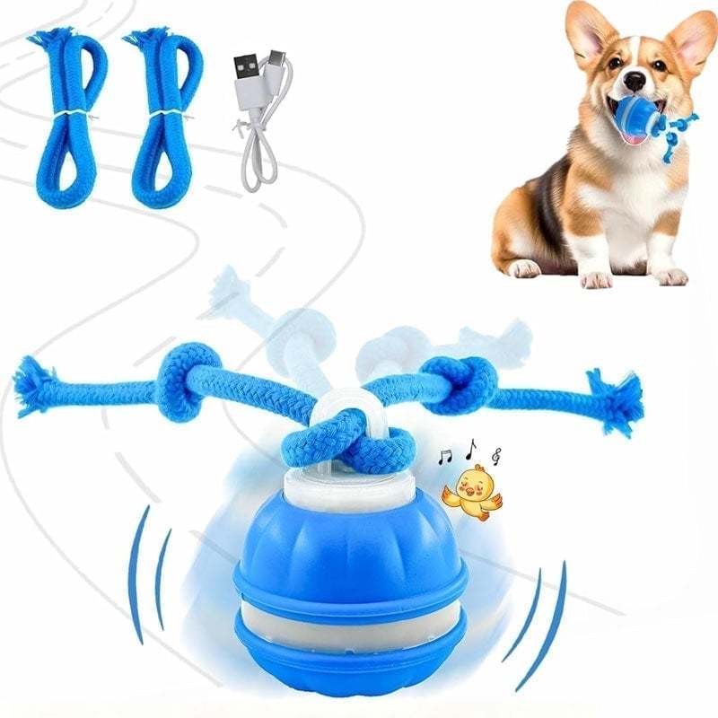 🏆Flash Sale 50% OFF🔥Interactive Smart Rolling Pet Ball
