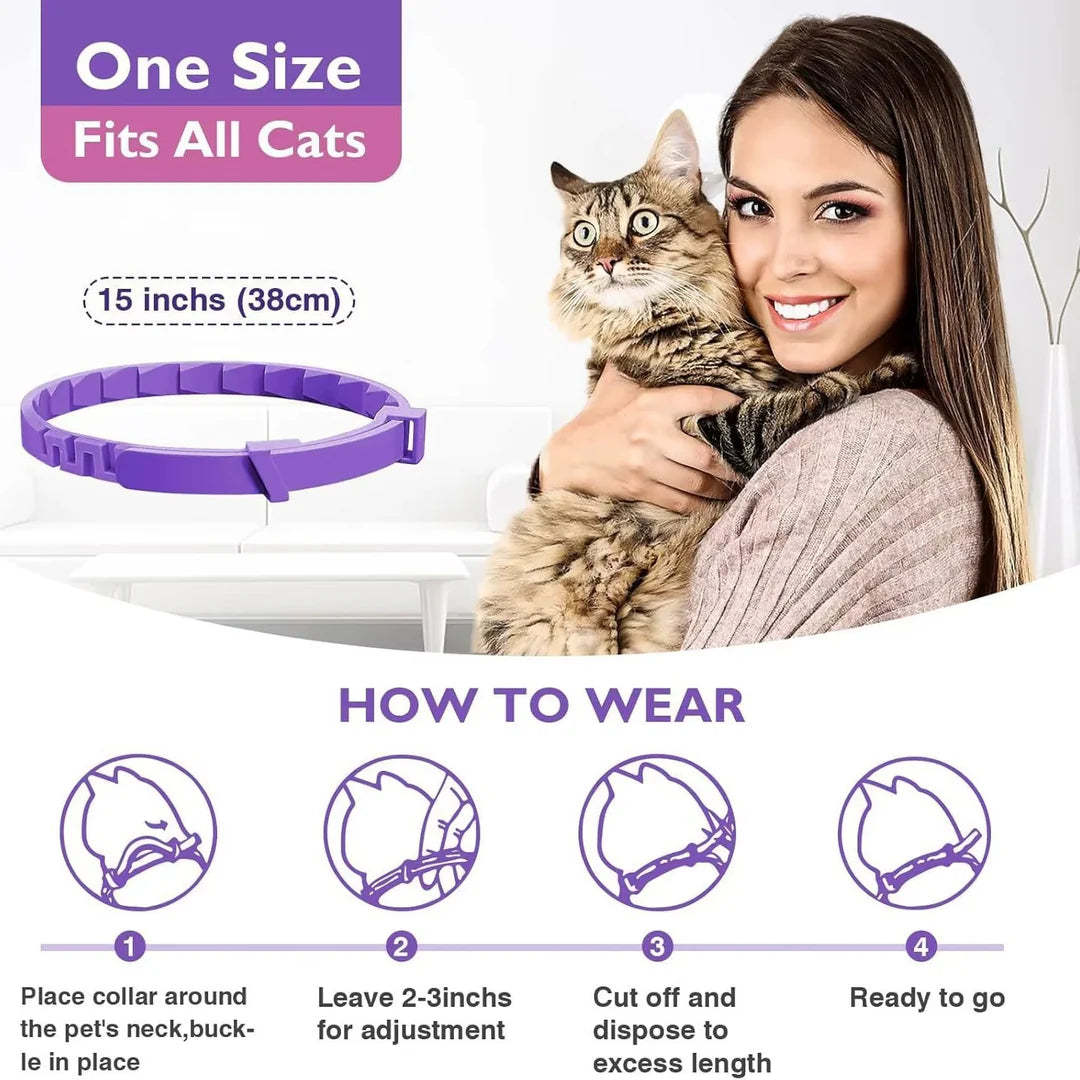 Dog And Cat Flea & Tick Collar, Up to 8 Months