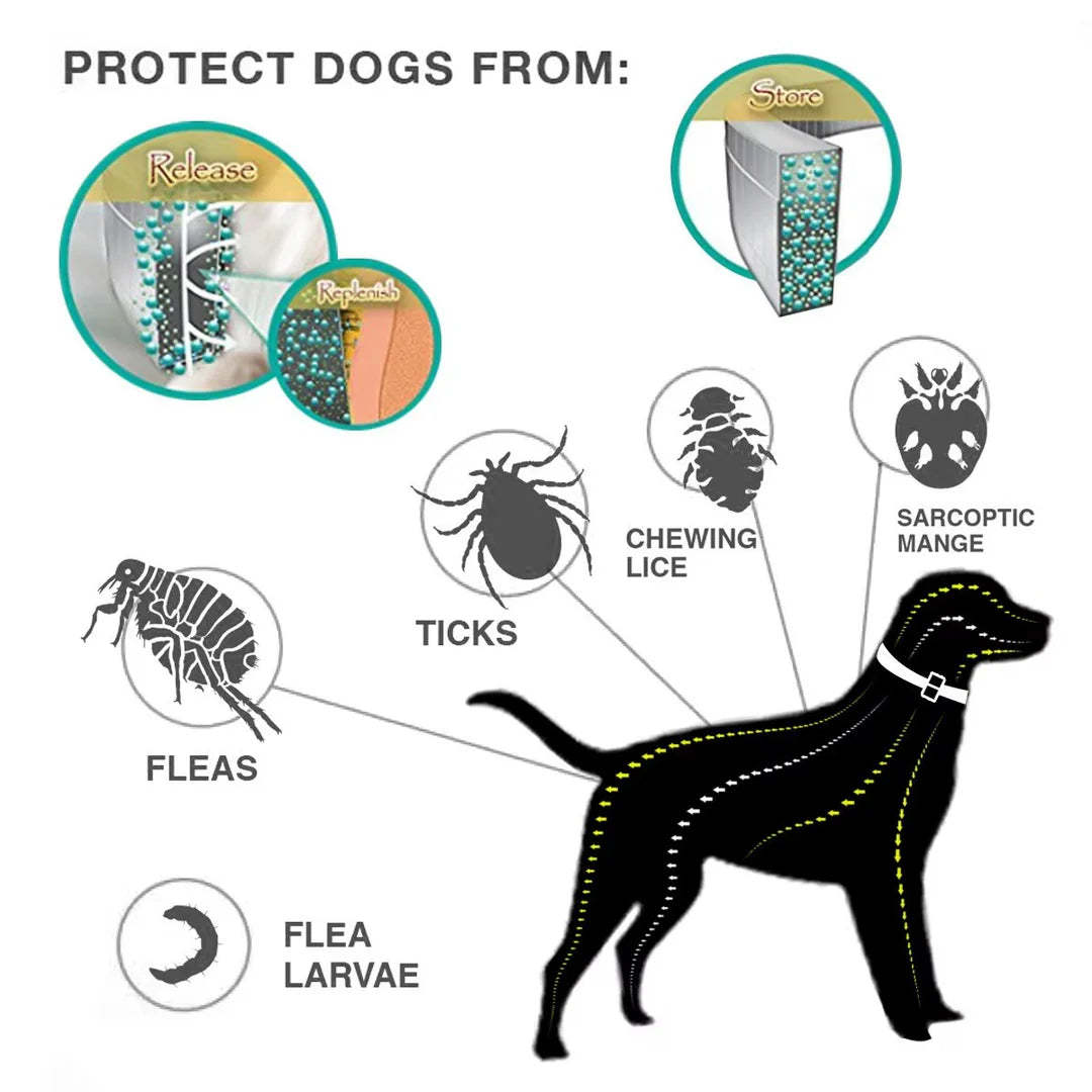 Dog And Cat Flea & Tick Collar, Up to 8 Months