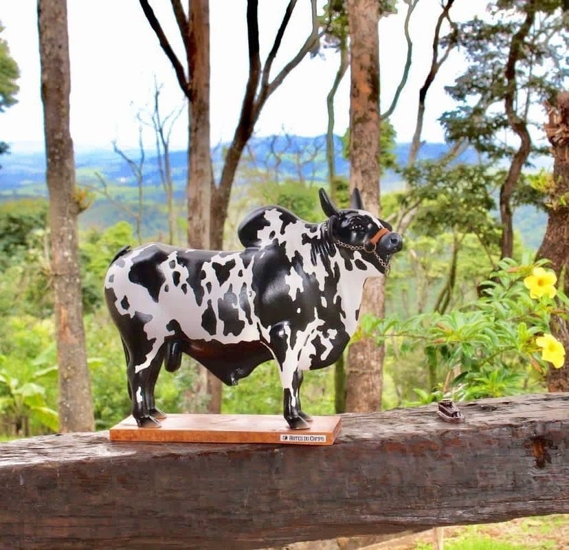 🐂🥃Nelore bull liquor dispensers