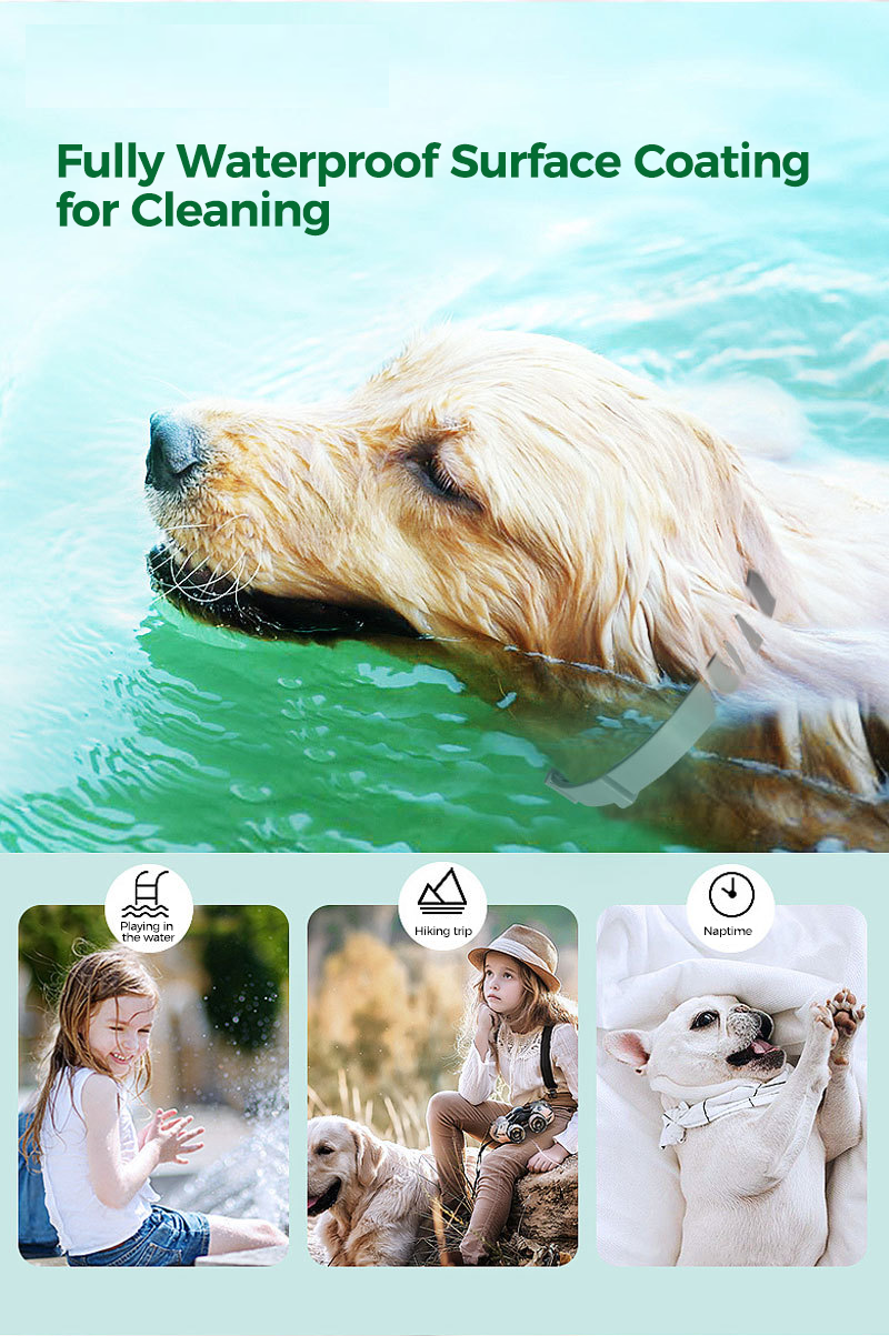 Dog And Cat Flea & Tick Collar, Up to 8 Months