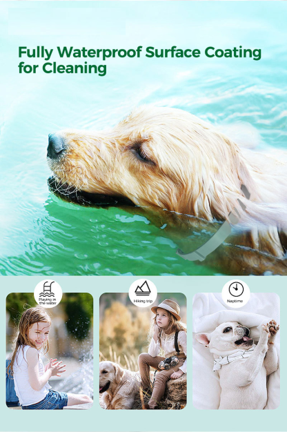 Dog And Cat Flea & Tick Collar, Up to 8 Months
