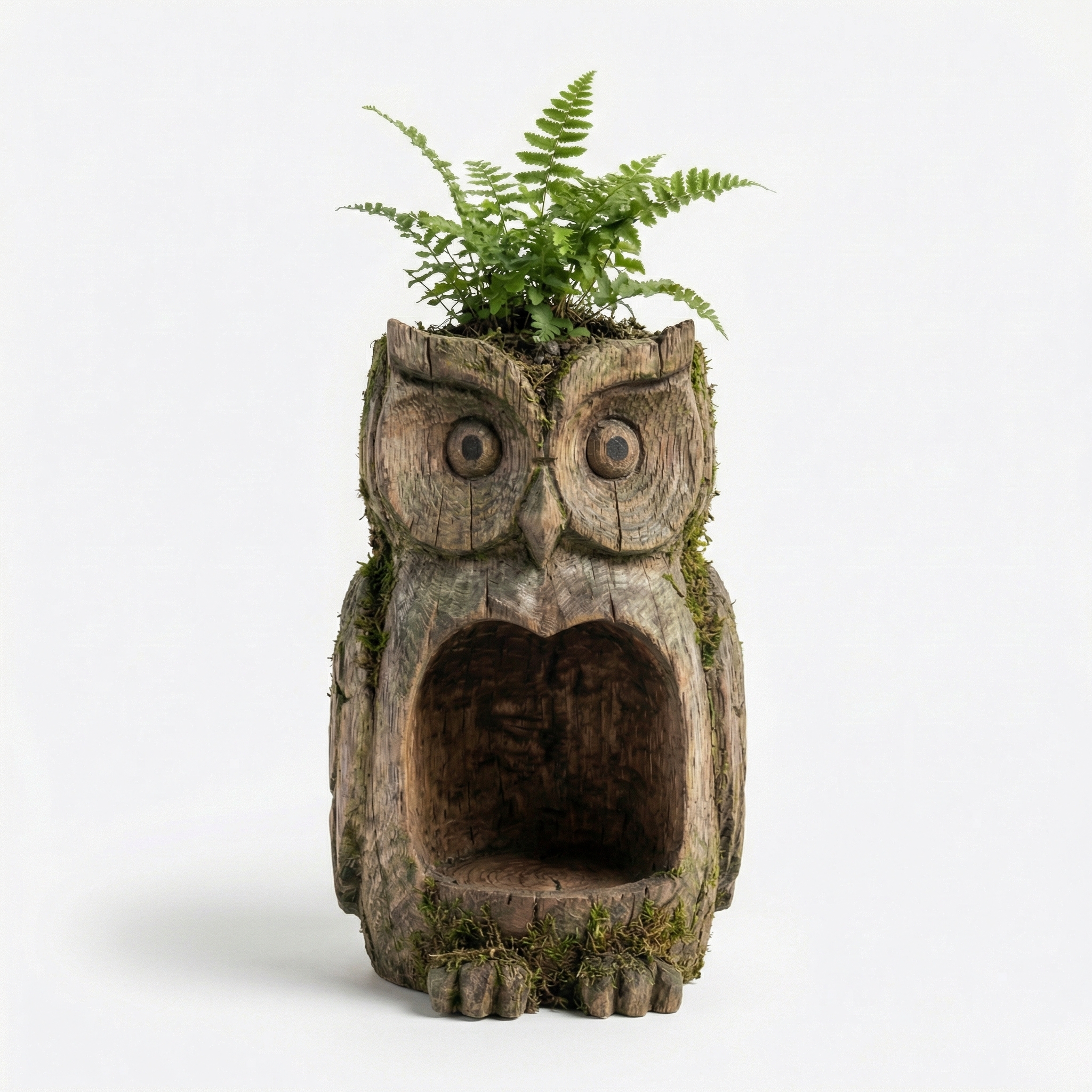 The Quiet Watcher  - Owl Watcher Feeder