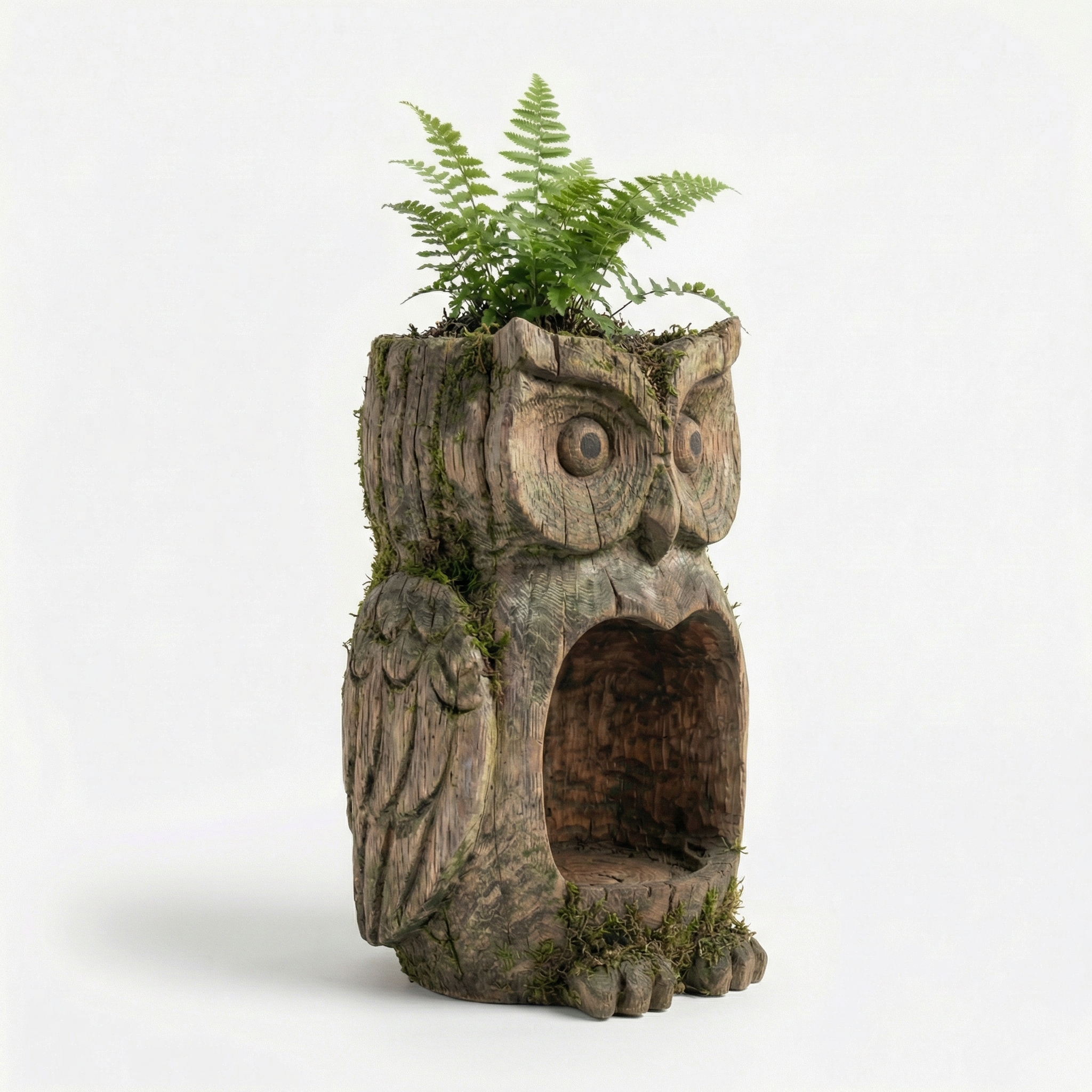The Quiet Watcher  - Owl Watcher Feeder