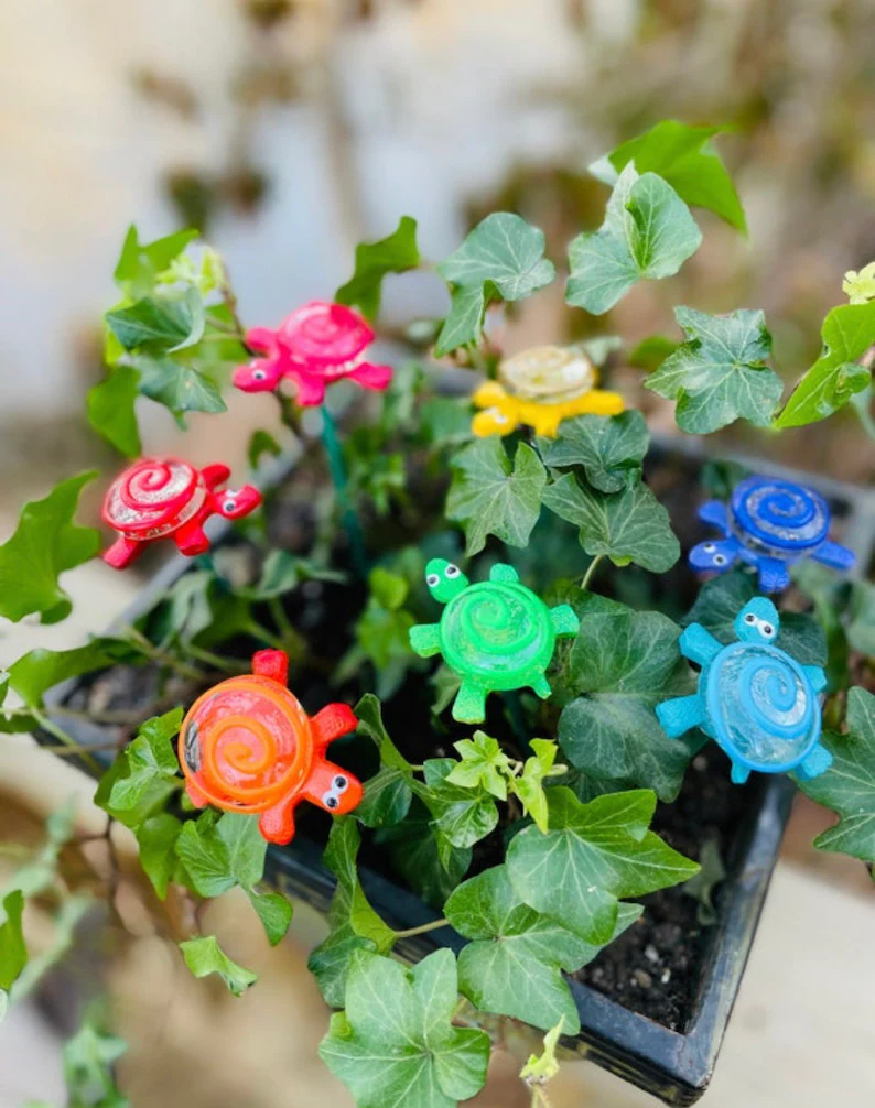 Turtle-shaped indoor plants