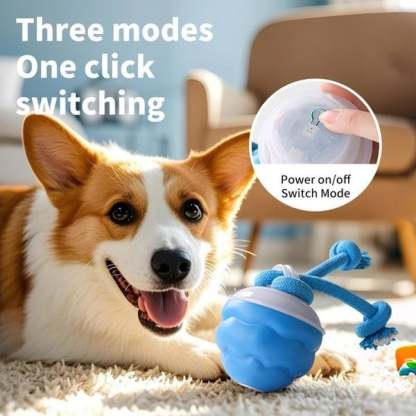 🏆Flash Sale 50% OFF🔥Interactive Smart Rolling Pet Ball